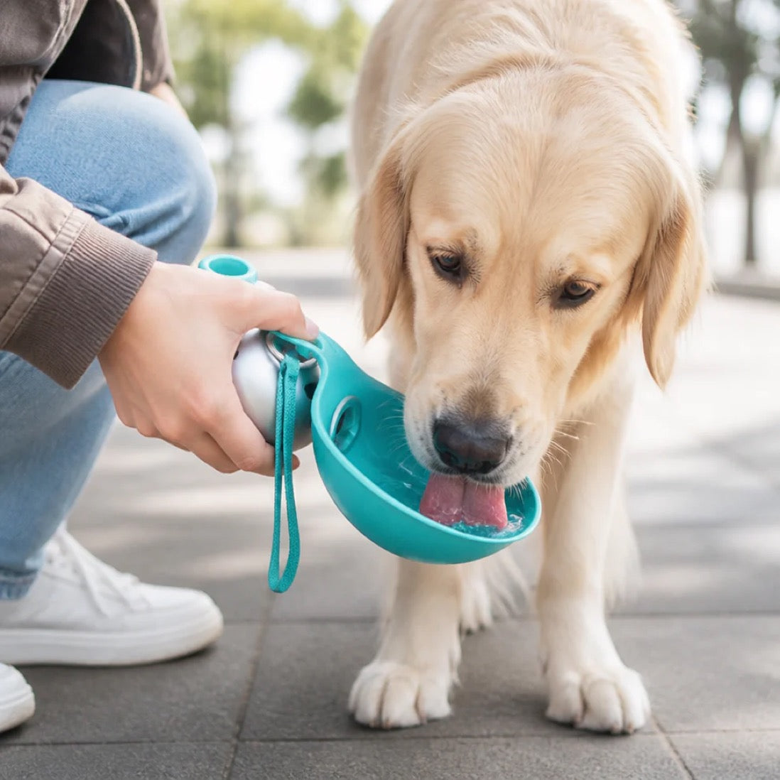 Furvielle™ PawFlow Dog Bottle